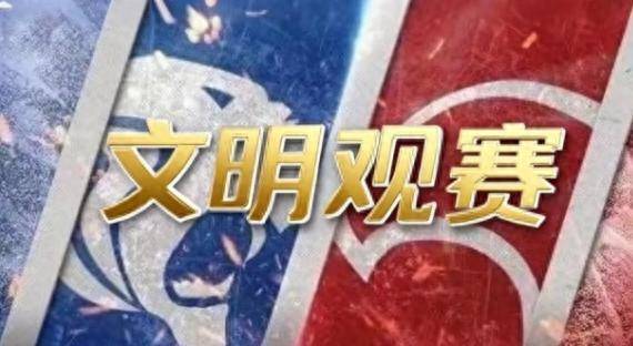 开云官网-IG不断突破！，德罗巴连续十场比赛得分超过大比分获胜引发球迷热议-开云官网